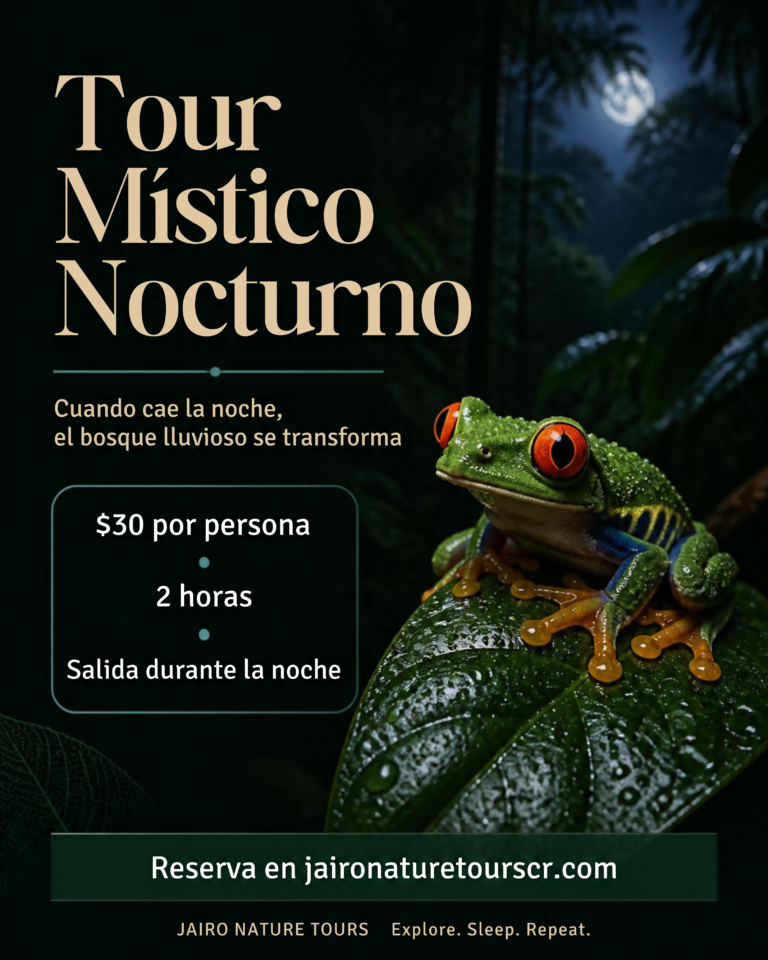 tour místico nocturno — jairo nature tours