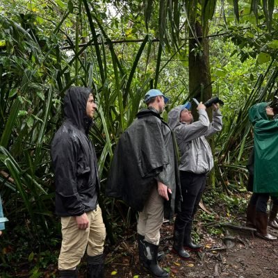 whatsapp image 2026 10 03 at 3.16.00 pm (3)